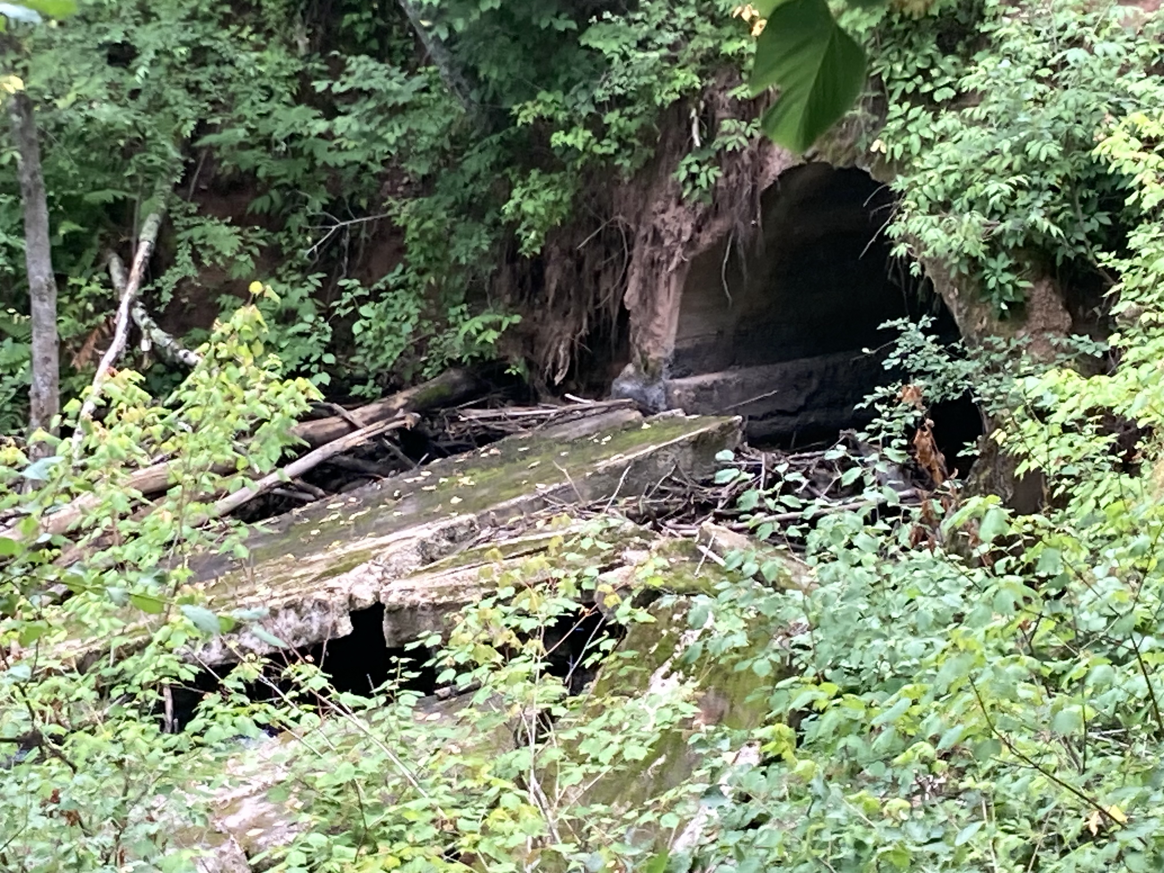 A photo of a deteriorating culvert overgrown with plants and with a creek blocked by debris.